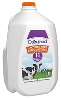 Dairyland Lait sans lactose partiellement écrémé 1 % 4L