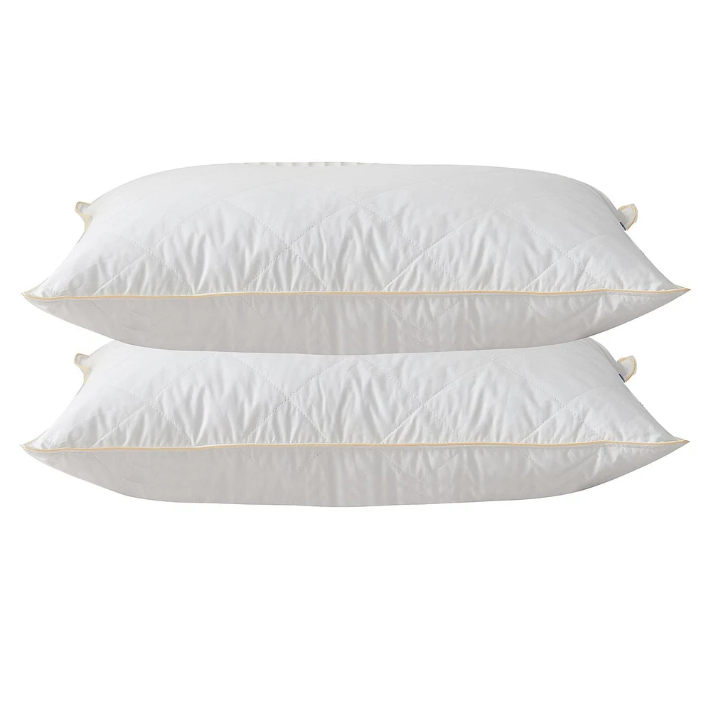 Royal Elite Silk & Feather Combo Pillow