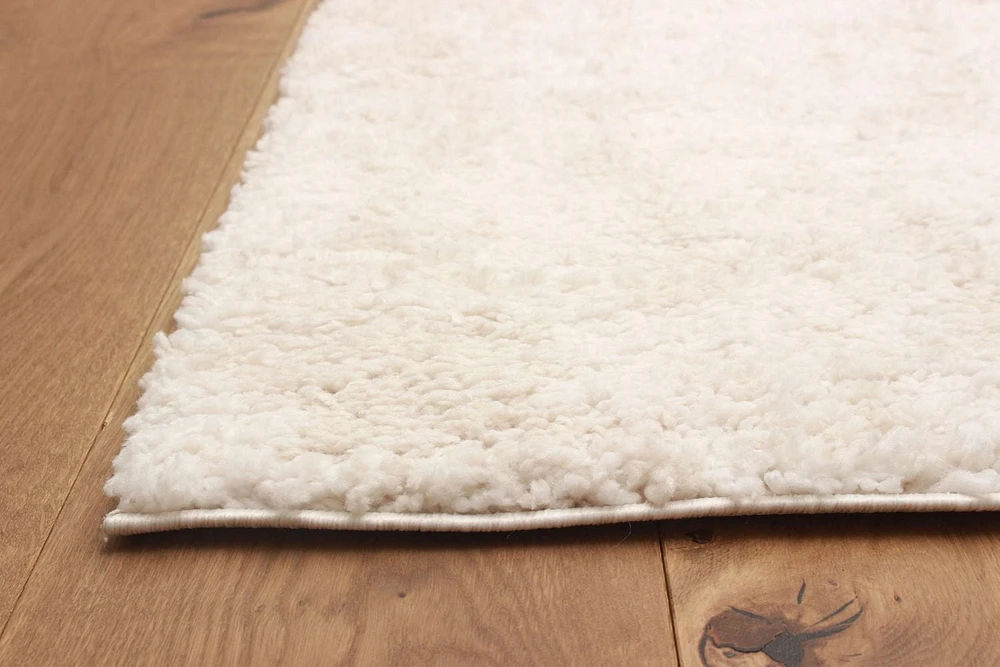 ECARPET Bliss 5'0" x 8'0" Contemporary/Modern, Plush & Shags Area Rug for Living Room, Bedroom, Dining Room, Entrance, Hallway and More.