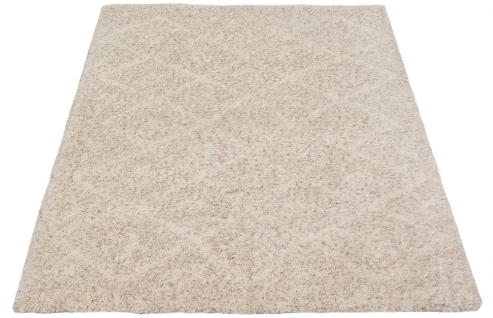 ECARPET Geometric Shag Area Rug for Living Room, Bedroom, Ultra Soft & Plush