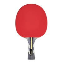 Raquette de tennis de table STIGA Raptor