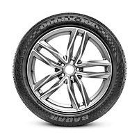 Radar Dimax R8+ 245/30R20XL 97Y BSW Tire