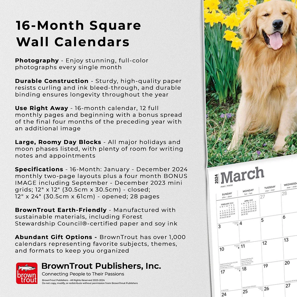 BrownTrout Golden Retrievers 2024 12x24 Inch Square Wall Calendar, 9781975462925