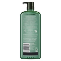 Herbal Essences bio:renew Hemp + Potent Aloe Sulfate Free Shampoo Frizz Control, 600 mL
