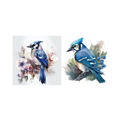 Swedish Dish Cloth Blue Jays Set De 2