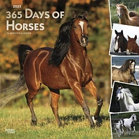 365 Days of Horses | 2023 12x24 Inch Square Wall Calendar