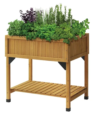 VegTrug Self-Watering Raised Herb Garden Planter