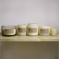Hometrends 14oz Bougie parfumée aux VANILLE ET BOIS DE SANTAL en pot givré 397g bougie parfumée