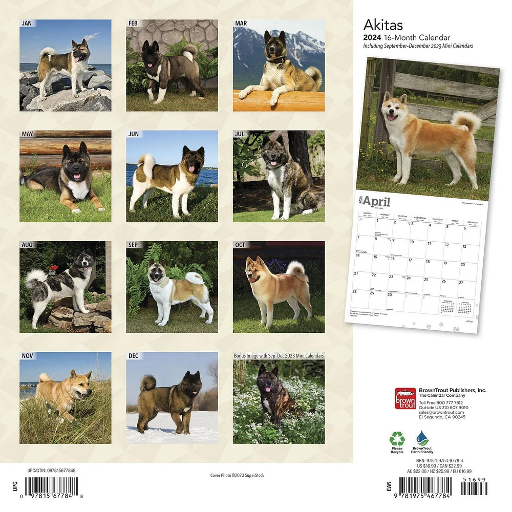 BrownTrout Akitas 2024 12x24 Inch Square Wall Calendar, 9781975467784