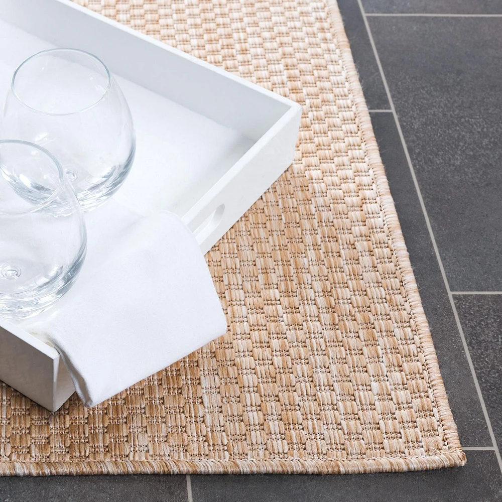 SAFAVIEH Beach House Jacinth Solid Indoor/Outdoor Area Rug