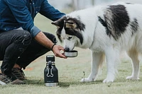 Asobu BOUTEILLE CHIEN