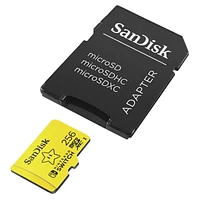 Carte SanDiskMD microSDXCMC pour Nintendo SwitchMC de 256 Go – SQXAO256GCWCZN