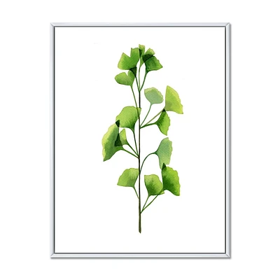 Designart Feuillage des plantes de champ vert ART MURAL À CADRE FLOTTÉ