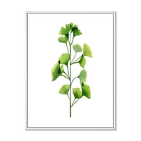 Designart Green Field Plant Foliage FLOAT FRAME WALL ART