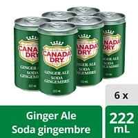 Canada Dry® Ginger Ale 222 mL Mini-Cans, 6 Pack, 6 x 222 mL