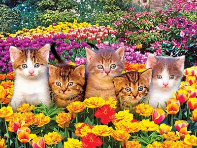 Kodak 550 Piece Jigsaw Puzzle - Cute Kittens in the Grass, Kodak Prem 550PC Puzzle