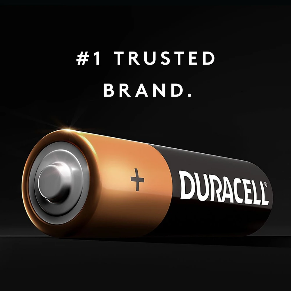 Duracell 1.5V Quantum Alkaline, AAA Batteries with Powercheck, 6 Pack