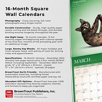 BrownTrout Yoga Cats OFFICIAL 2024 12x24 Inch Square Wall Calendar, 9781975467012