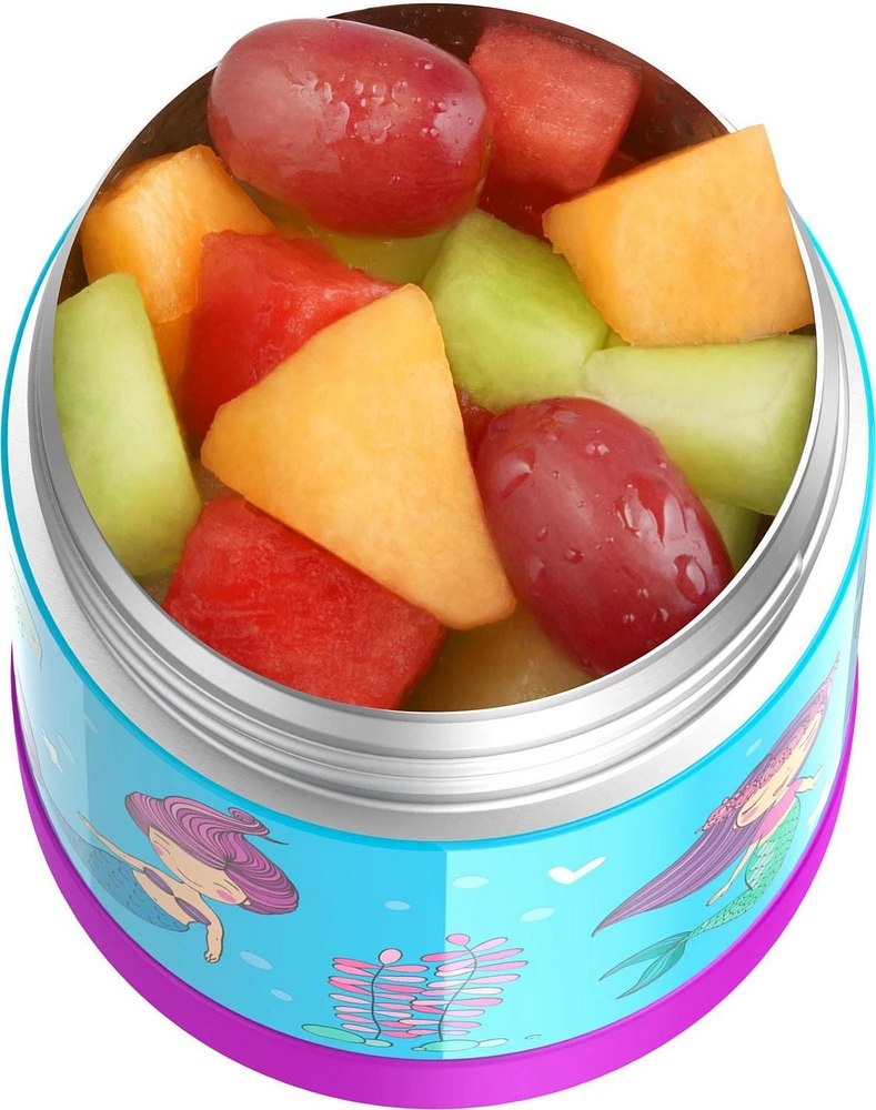 Thermos Funtainer Vacuum Insulated Stainless Steel 10 Oz Food Jar