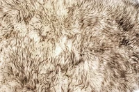 NEW ZEALAND SHEEPSKIN DOUBLE RUG/RUNNER 2' X 6'