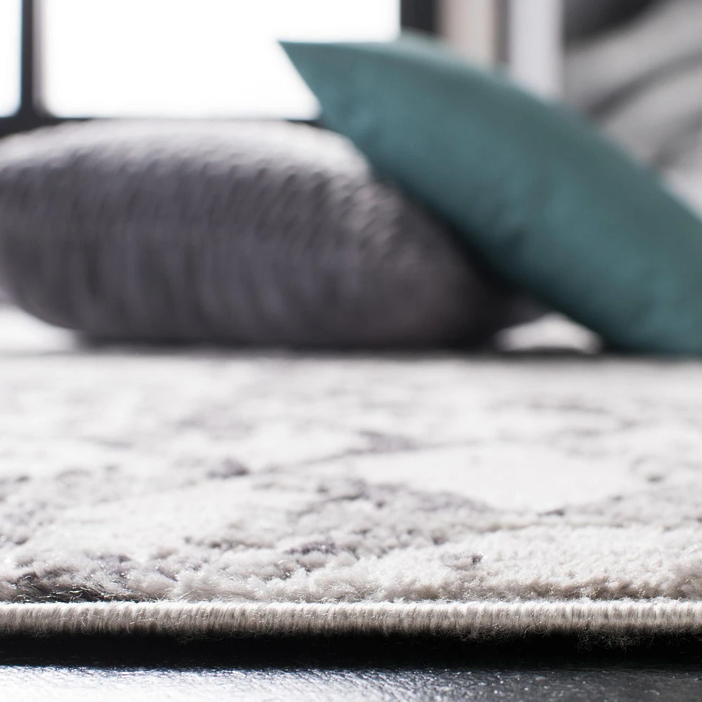 SAFAVIEH Amelia Roslyn Abstract Distressed Area Rug