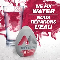 MiO Cranberry Raspberry Liquid Water Enhancer, 48mL