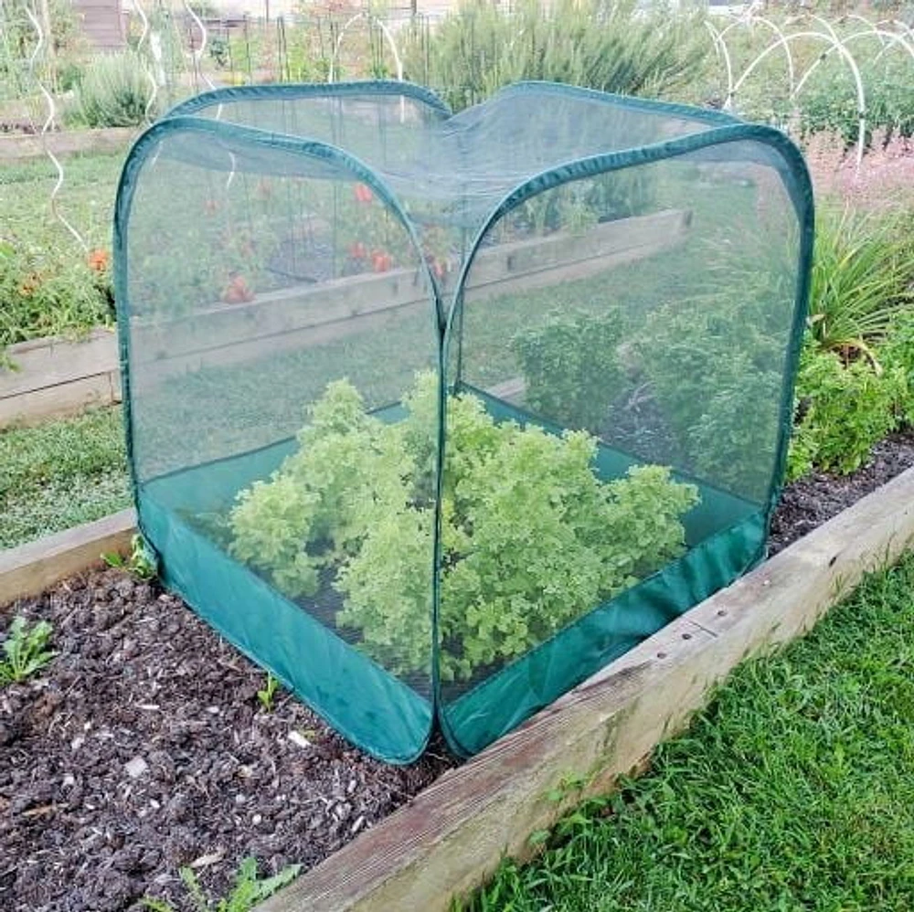 Gardeneer by Dalen Pop-Net Enclos de protection portable – Léger et résistant aux intempéries – Installation facile à faire soi-même – Protégez vos plantes contre les parasites du jardin – 40" x 40" x Protéger les plantes contre les petits ravageurs
