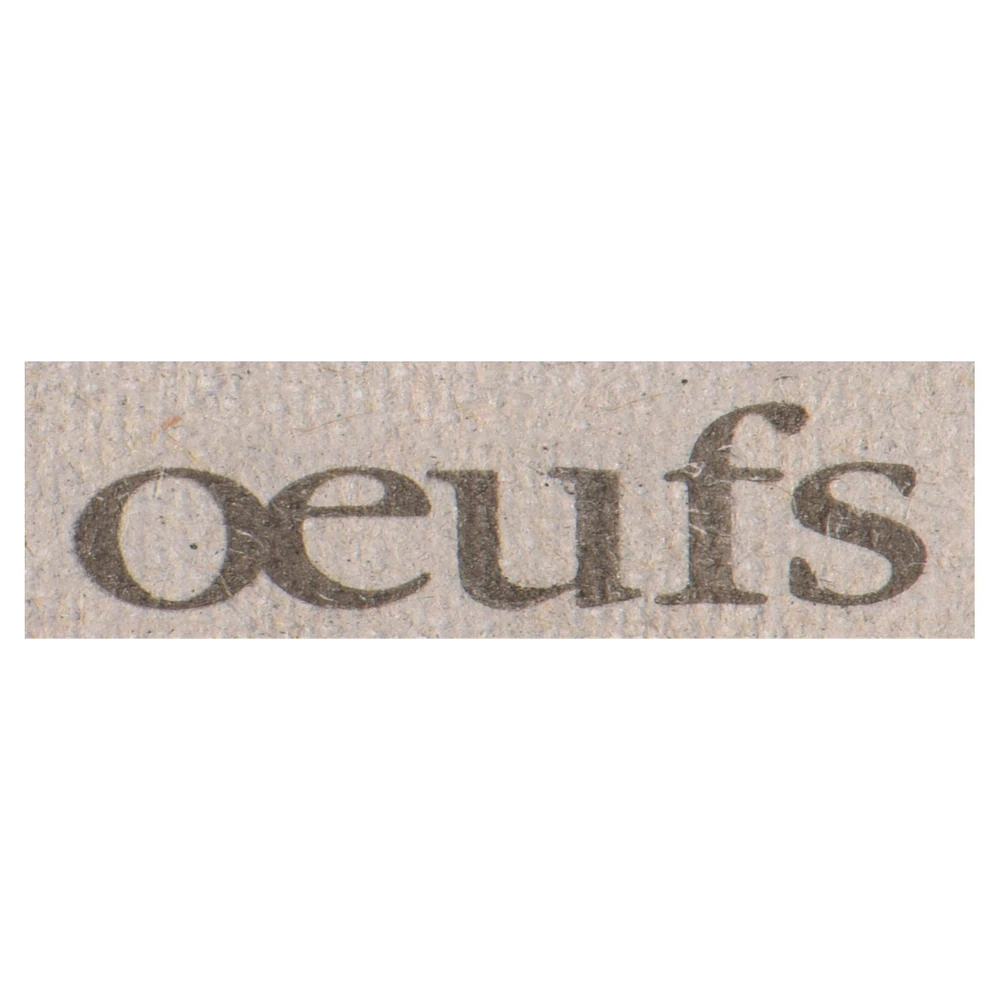 Nova Ultra oeufs blancs compte de 12