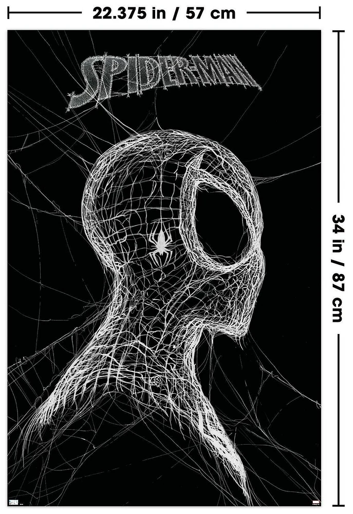 Marvel Spider-Man: World Of Webs - Black And White Wall Poster, 22.375" x 34"