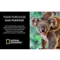 National Geographic Jardin de Cristal Arbres recouverts de cristaux