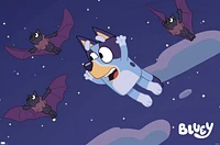 Bluey - Chauves-souris