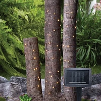 Lampes à fil solaires à LED 100 points de Mainstays 100 comptes