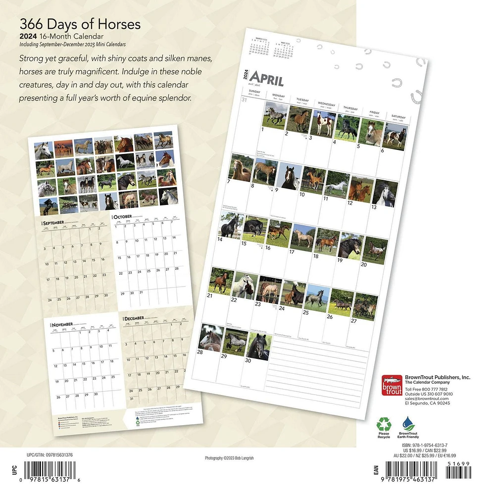 BrownTrout 366 Days of Horses 2024 12x24 Inch Square Wall Calendar, 9781975463137