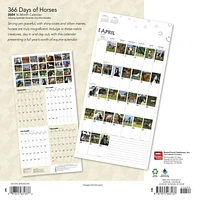 BrownTrout 366 Days of Horses 2024 12x24 Inch Square Wall Calendar, 9781975463137