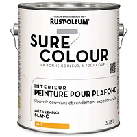 Rust-Oleum Sure Colour™ Paint + Primer, Ceiling Flat, White 3.78 L, 3.78 L
