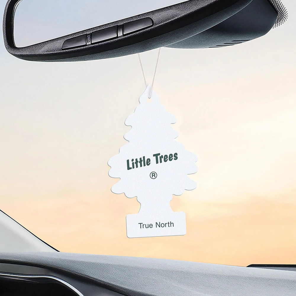 Assainisseur d'air LITTLE TREES True North 3-Pack LT True North, paquet de 3