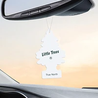 Assainisseur d'air LITTLE TREES True North 3-Pack LT True North, paquet de 3
