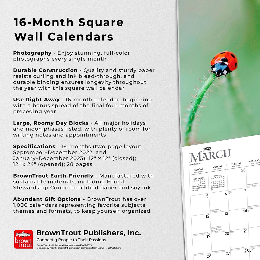 Simplicity | 2023 12x24 Inch Square Wall Calendar