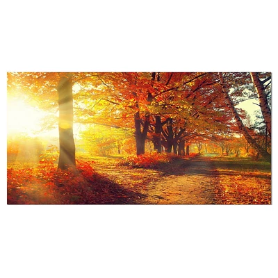 Designart Arbres d'automne dans les rayons du soleil Art mural sur toile
