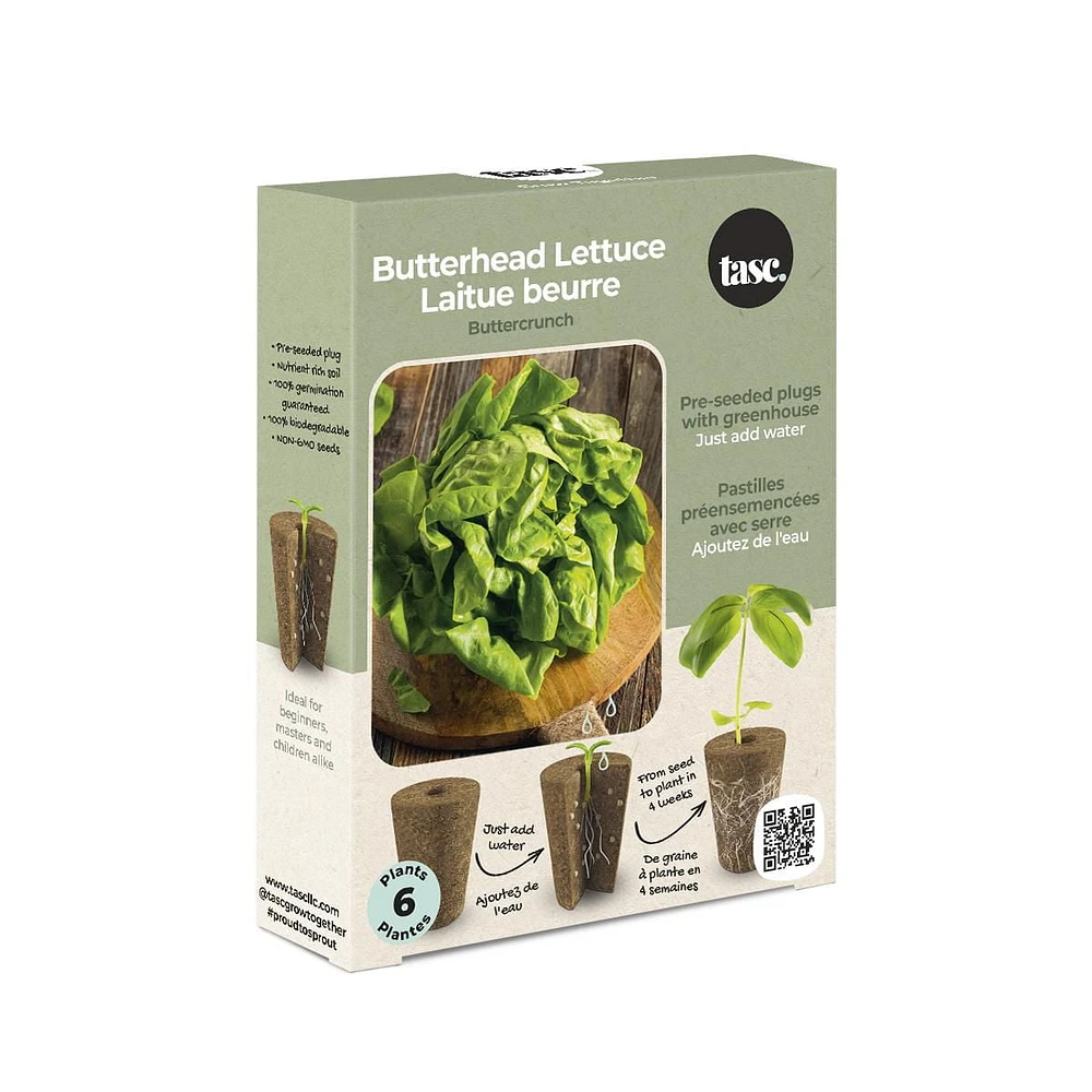 TASC Flower Bulbes beurread laituce sativa beurrecrunch (6 plantes chacun)