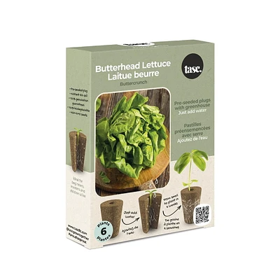 TASC Flower Bulbes beurread laituce sativa beurrecrunch (6 plantes chacun)