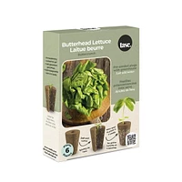 TASC Flower Bulbes beurread laituce sativa beurrecrunch (6 plantes chacun)