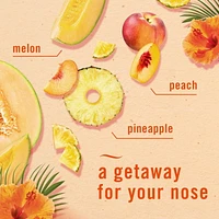 Febreze Car Air Freshener, Odor-Fighting Automotive Vent Clip, Hawaiian Aloha Scent