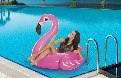 Giant Flamingo Pool Float