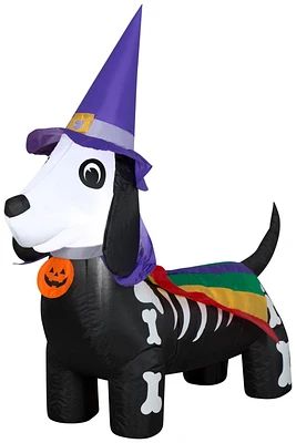Airblown Rainbow Dog avec Witch Hat Dachshund SM