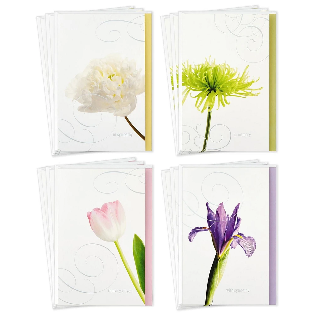 Cartes de condoléances assorties Hallmark (fleurs)