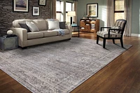 Aiden 8x11 Area Rug,