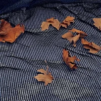 Blue Wave Couverture de piscine filet para-feuilles hors-terre - ovale