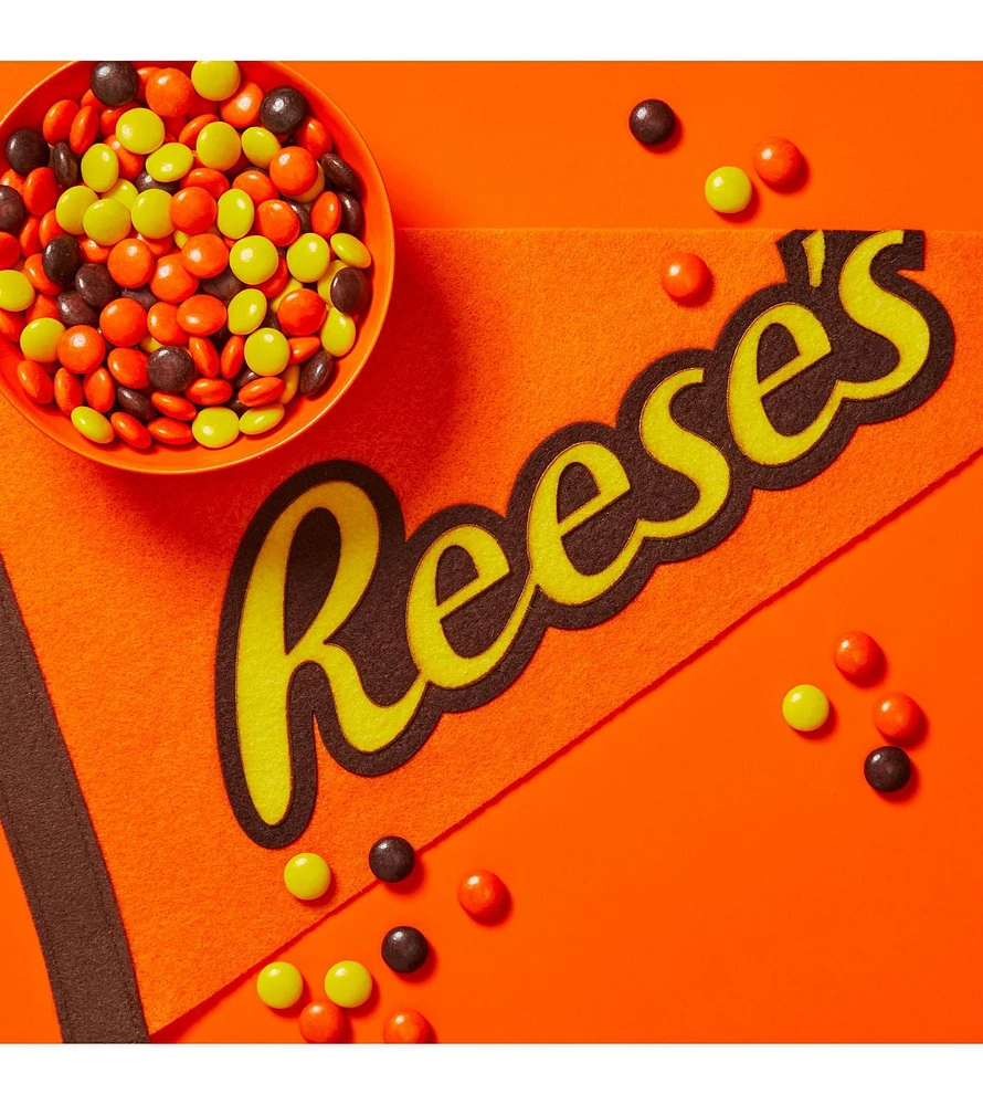 REESE'S PIECES Peanut Butter Candy, 230g