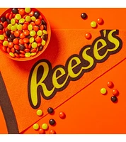 REESE'S PIECES Peanut Butter Candy, 230g